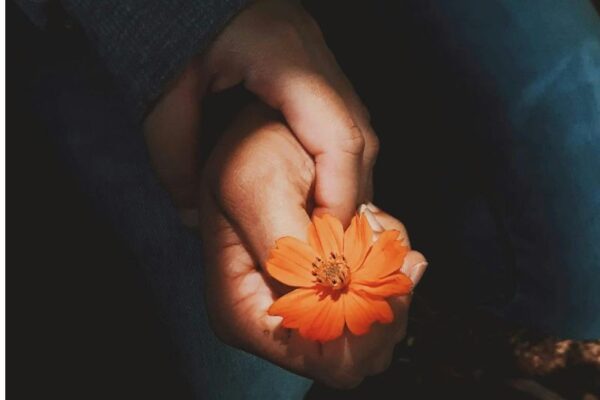 emotionally-focused-therapy